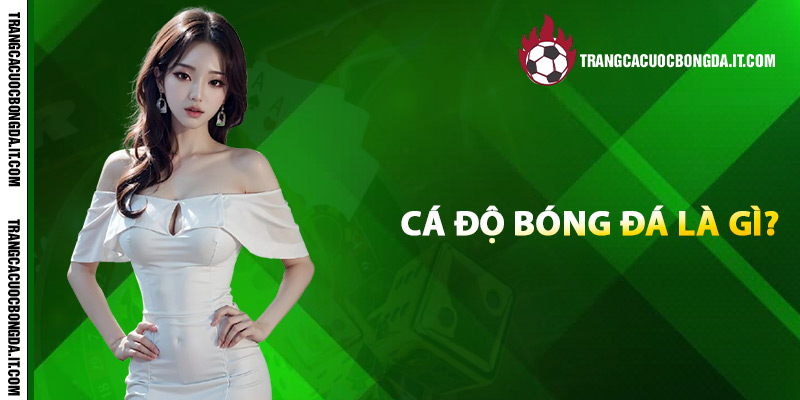 Cá độ bóng đá là gì?