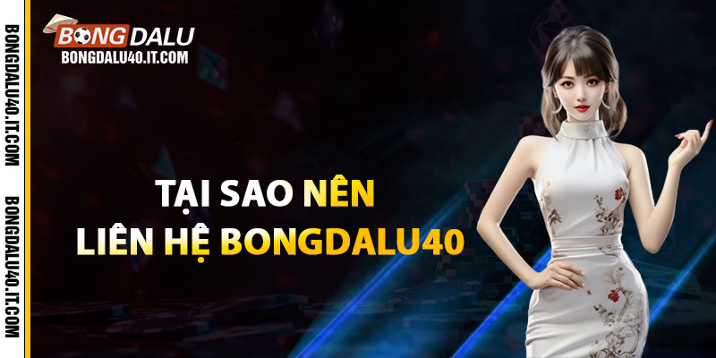 Tại sao nên liên hệ Bongdalu40