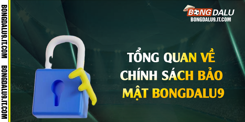 Tổng quan về chính sách bảo mật Bongdalu9